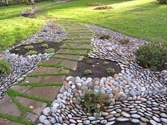 Галечная дорожка в саде камней