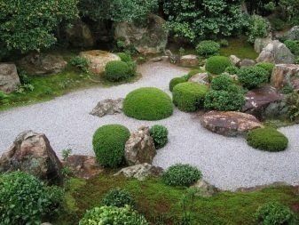 Японский сад ландшафтный дизайн