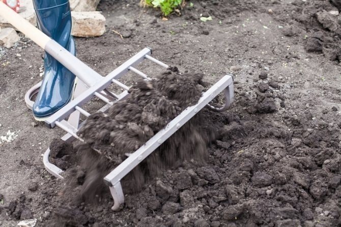 Чудо лопата для перекопки огорода