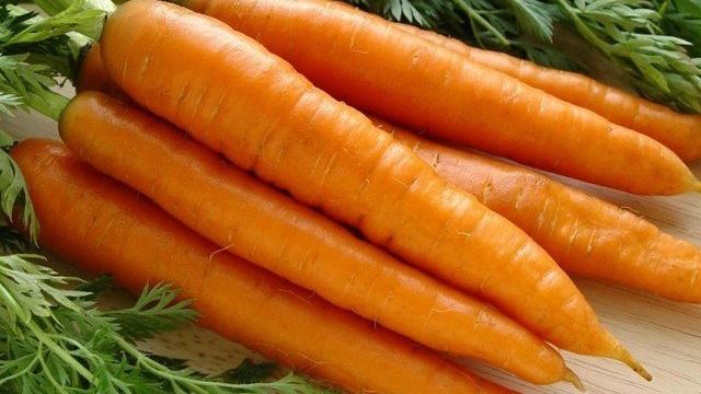 Хорошие сорта моркови для открытого грунта
