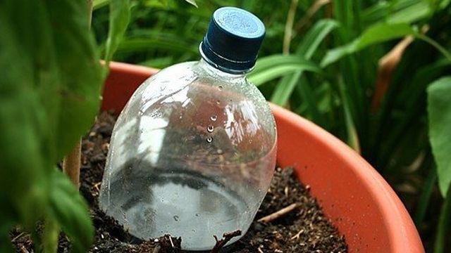 Делаем систему капельного полива из пластиковых бутылок