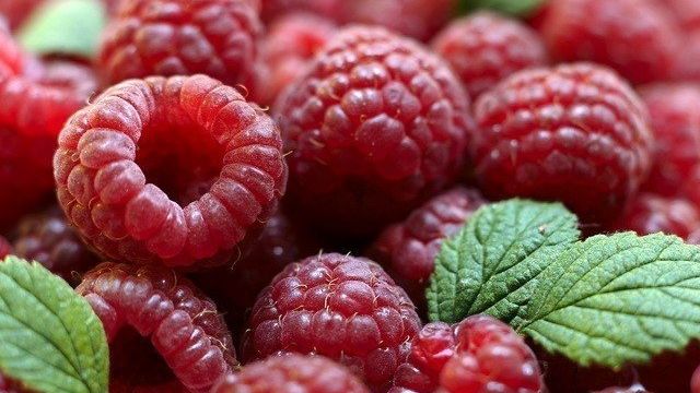 Малина и ежевика: рекомендации по подготовке ягодных кустов к зиме