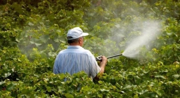 Опрыскивание пестицидами