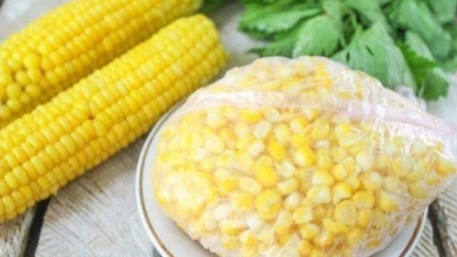 Хранение кукурузы в початках и зерне