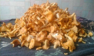 Вареные грибы