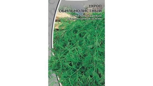 Укроп Обильнолистный: описание сорта, правила выращивания, отзывы